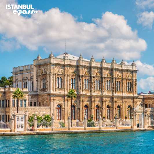 Istanbul: Dolmabahce Palace & Harem Skip-the-Line Entry - First impressions at Dolmabahçe Palace