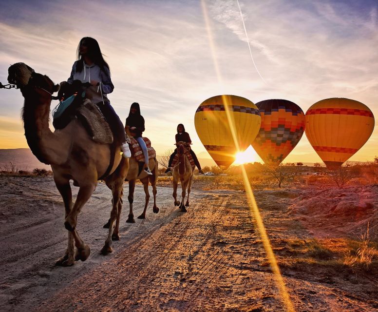 Istanbul: Ephesus, Pamukkale, Cappadocia 8-Day Trip by Plane - Hotels, meals, and the value of the package