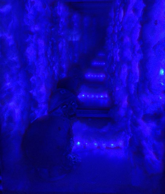 İstanbul: Frankenstein House of Horror, Escape Room Game - What the $47 price means