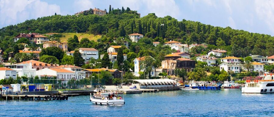 Istanbul: Full Day Princes Islands Guided Tour with Lunch - Leaving Istanbul for the Princes’ Islands