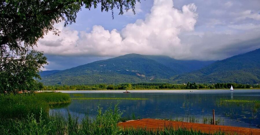 Istanbul: Full-Day Sapanca Lake and Masukiye Tour with Lunch - Leaving Istanbul for Masukiye’s forests