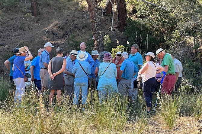 Istanbul Gallipoli Experienced Daily Tour - Why Gallipoli deserves a full day