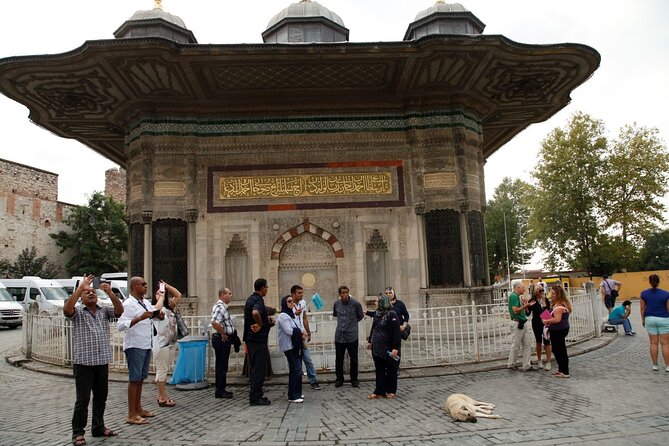 Istanbul: Hagia Sophia & Blue Mosque Guided & Small-Group Tour - What the $24.98 price really buys you