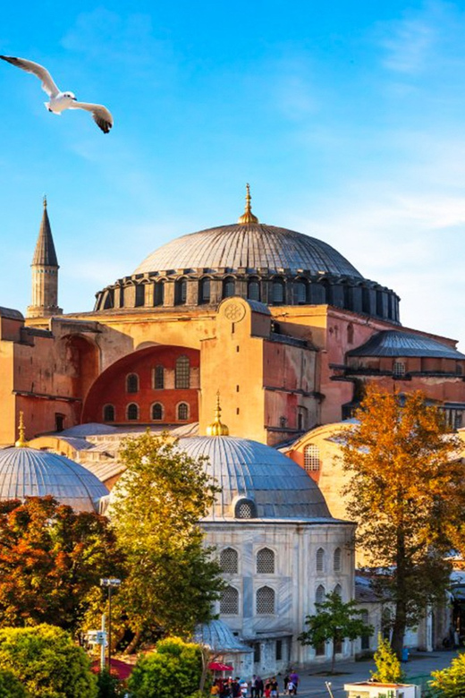 Istanbul: Old City Full-Day Tour -(Entry Fees Inculucing) - The guide and pace of the day