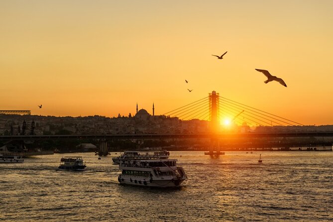 Istanbul Panoramic Evening Bus Tour - Hagia Sophia, the Blue Mosque, and Topkapi Palace