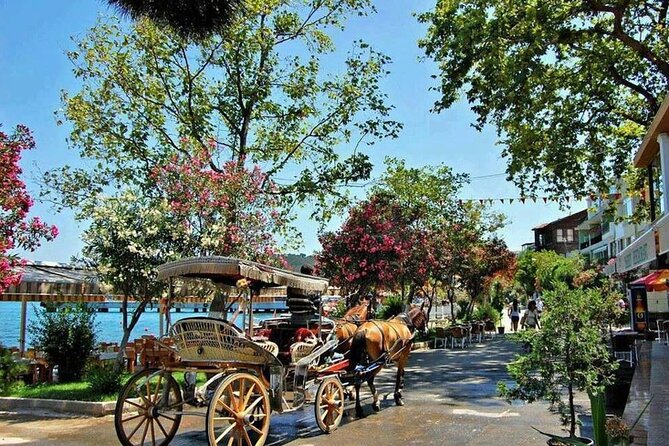 Istanbul Princes Island Tour with Lunch & Hotel Transfer - Key points to know before you book