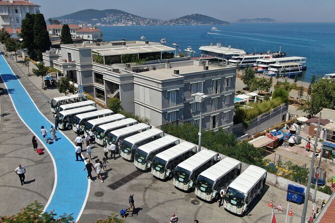 Istanbul Princes Island Tour with Lunch & Hotel Transfer - Buyukada and the grandest island streets