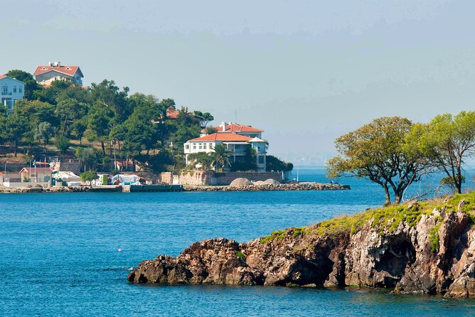 Istanbul Princes’ Islands Boat Trip with Lunch - Buyukada: lunch, walking, and free time