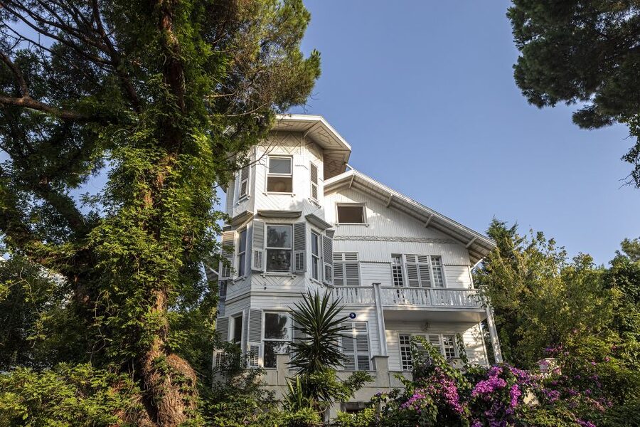 Istanbul: Princes' Islands Cruise w/Music, Lunch & Transfer - Beach time and swimming away from the city