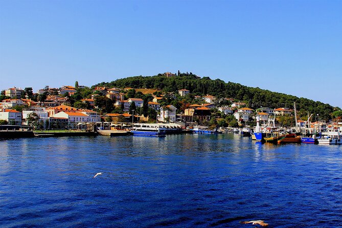 Istanbul: Princes Islands Tour with Heybeliada and Buyukada - Lunch on board, with practical expectations