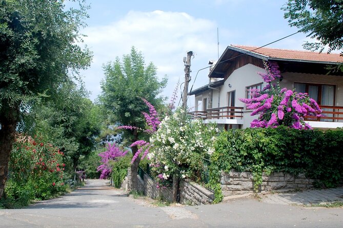 Istanbul: Princes Islands Tour with Heybeliada and Buyukada - Free time, swimming, and how to use it well