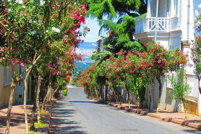Istanbul: Princes Islands Tour with Heybeliada and Buyukada - The return boat and the unexpected party atmosphere