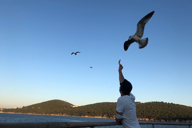 Istanbul: Princes Islands Tour with Heybeliada and Buyukada - Guide quality and the group experience