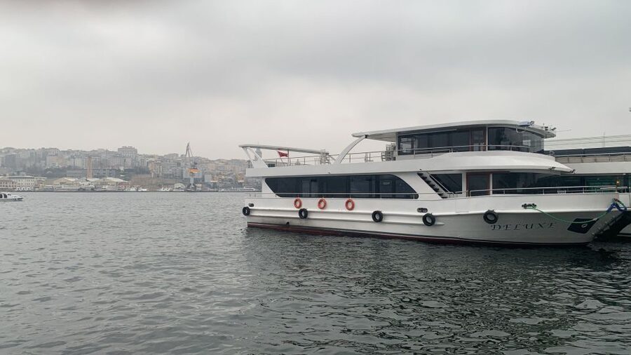 Istanbul: Princes' Islands Tour with Lunch and Transfers - The return journey and the leather goods stop