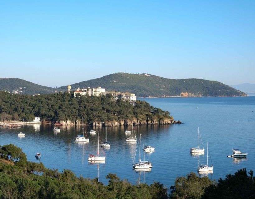 Istanbul: Princes' Islands Tour with Lunch and Transfers - Is $29 a good value?