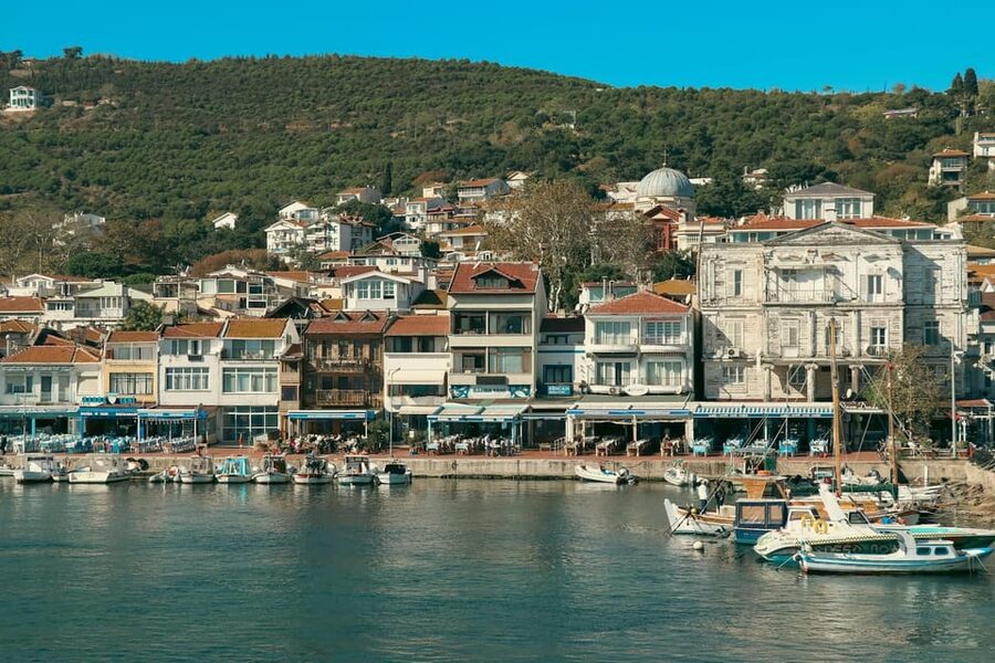 Istanbul: Princes Islands Walking Full-Day Tour - Leaving Istanbul by ferry