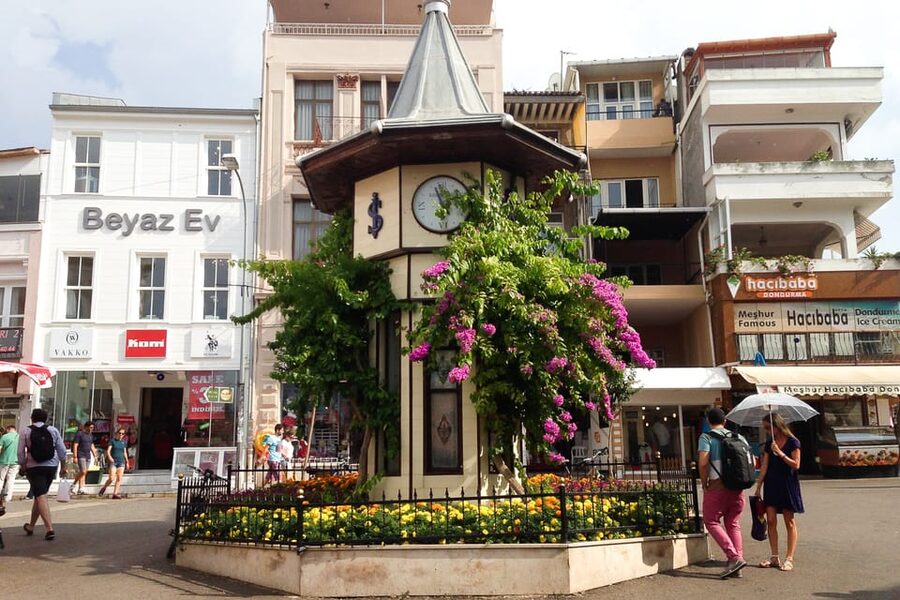 Istanbul: Princes Islands Walking Full-Day Tour - Lunch with a Turkish menu