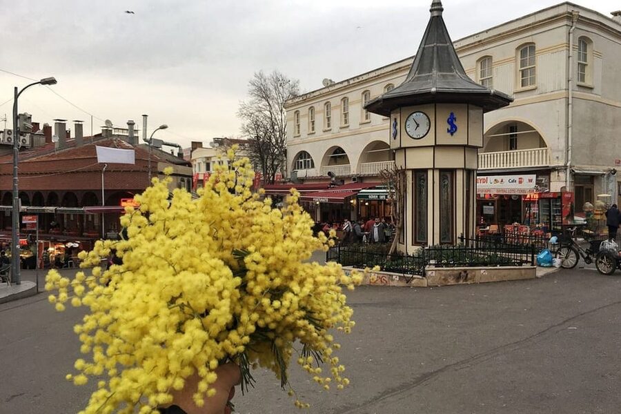 Istanbul: Princes Islands Walking Full-Day Tour - Should you book the Büyükada walking tour?