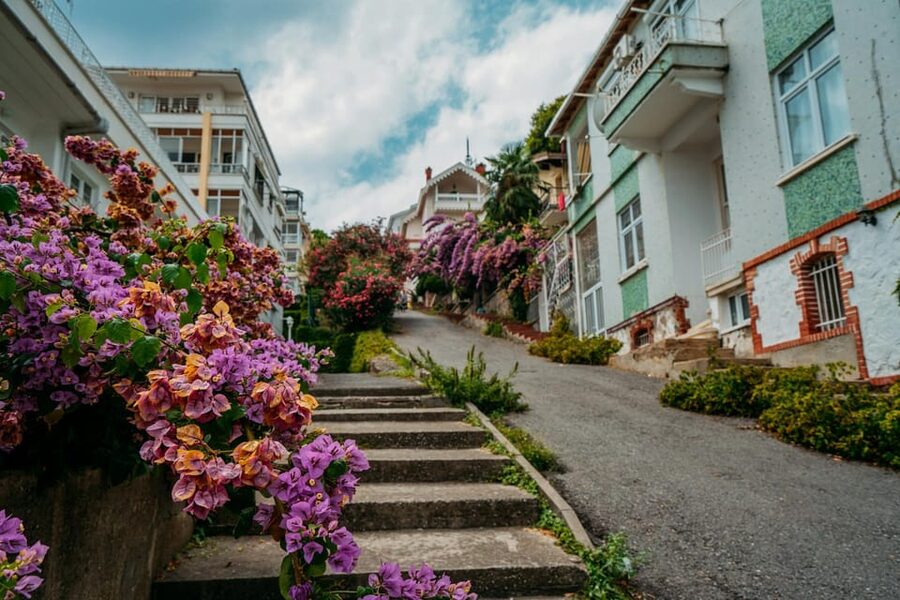 Istanbul: Princes Islands Walking Full-Day Tour - Arriving on Büyükada, the Big Island