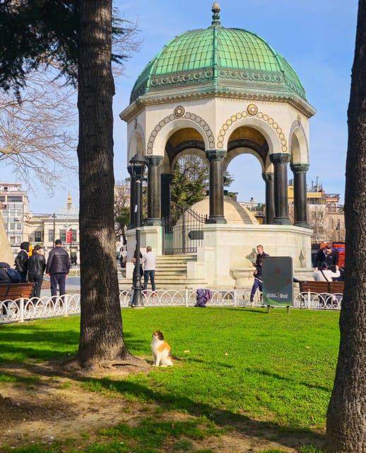 Istanbul Private City Tour By Art Historian - Stories, food advice, and the feel of the city