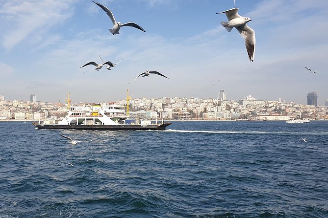 Istanbul Private Guided Tour for Layover Flight. Transfer incl. - Grand Bazaar, Spice Market, and the mosque on the hill