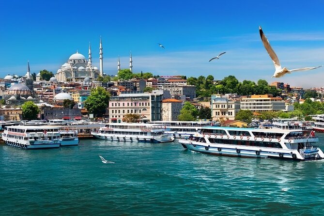 Istanbul Private Tour from Cruise Port - The Hippodrome and its ancient monuments