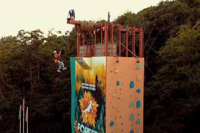 Istanbul Quad Bike Safari with Optional Zipline Experience - The one-hour quad ride through the forest