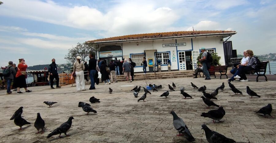 Istanbul Revealed: Historic Pathways and Bosphorus Serenity - The Golden Horn, Galata, and the city’s northern edge