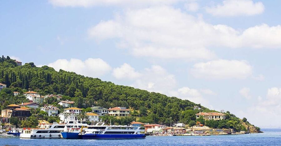 Istanbul: Round-Trip Ferry Tickets to the Princes' Islands - Old villas and a pharmacy from 1870
