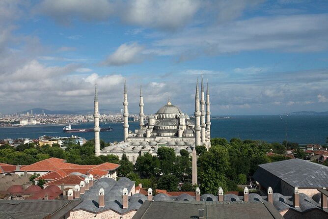 Istanbul Shore Excursion by TRAM: Half Day Private Tour from Port - Hagia Sophia and six centuries of change