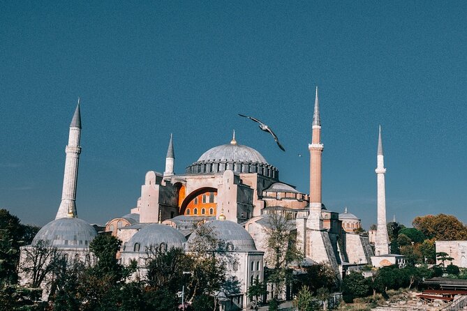 Istanbul Shore Excursion by TRAM: Half Day Private Tour from Port - Final verdict: a strong first look with a few checks