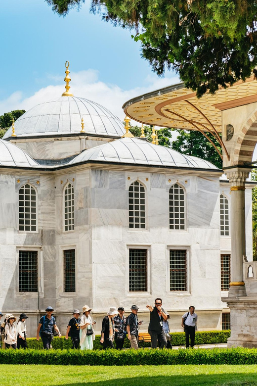 Istanbul: Topkapi Palace and Harem Guided Tour with Ticket - Practical planning for weather, access, and language