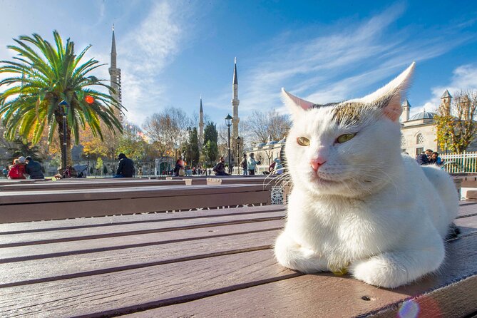 Istanbul Walking Tour with Audioguide on Your Smartphone - Topkapi Palace, the Tower of Justice, and Hagia Irene