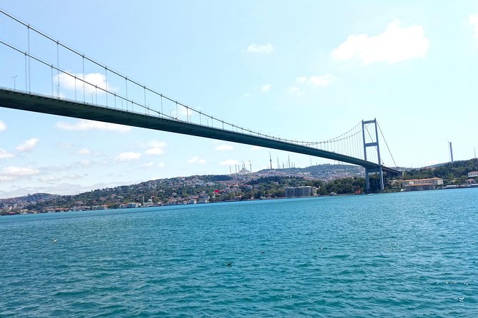 Morning Bosphorus Tour 3 Hours - Dolmabahce Palace from the Bosphorus
