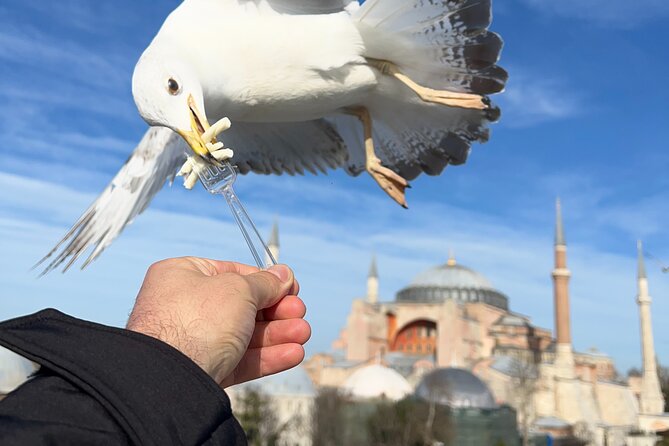 Multi 2 Days Private Guided Istanbul Iconic Landmarks City Tour - Should you book it?
