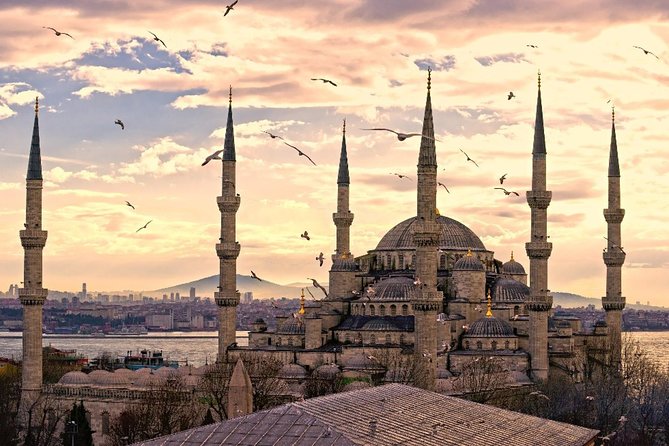 Must See in Istanbul: Private Full-Day Experience & Local Lunch - The Hippodrome and Istanbul’s public past