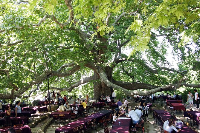 Premium Bursa and Uludag Tour - (Breakfast-Lunch Included) - Bursa’s Ottoman side and the 600-year-old tree