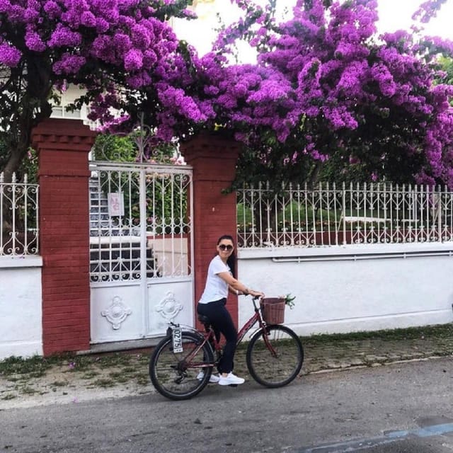 Prince's Island Group Tour - Returning to Istanbul