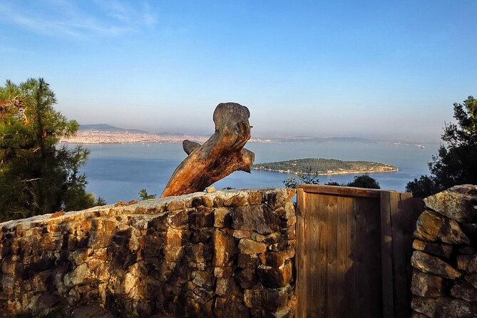 Princes Island Full Day Tour - Lunch, beaches, and free time on Büyükada
