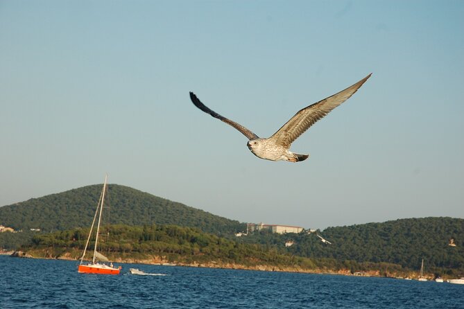 Princes' Islands Cruise with Lunch and Transfer Full-Day Tour - Is $24.95 a fair price?