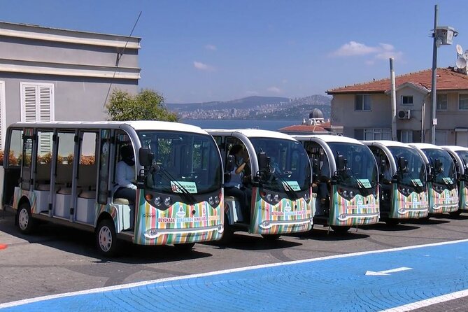 Princes Islands Tour WITH Private Boat, optional Pickup & Lunch - Leaving Istanbul by boat