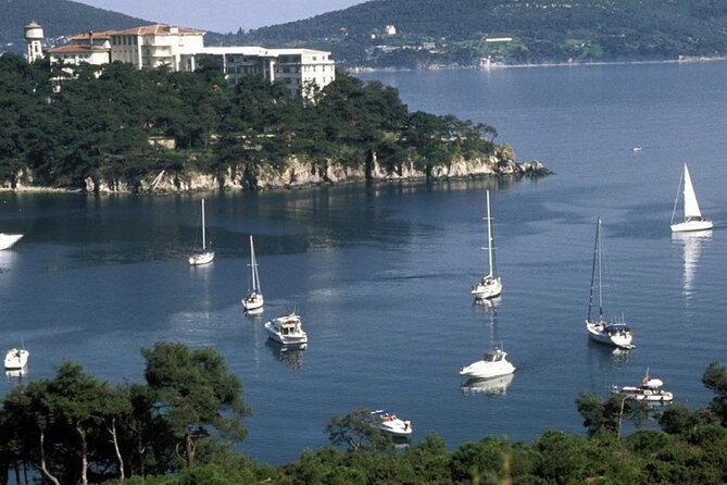 Princes Islands Tour WITH Private Boat, optional Pickup & Lunch - Who will enjoy this day most