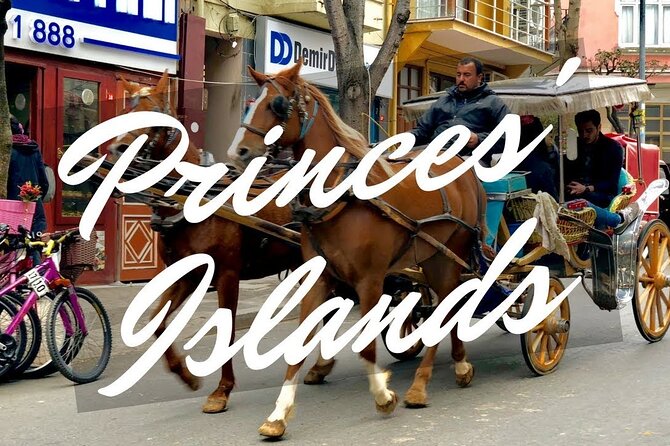 Princess Island Tour with Lunch & Ferry Ride - Beach time and lunch on the island