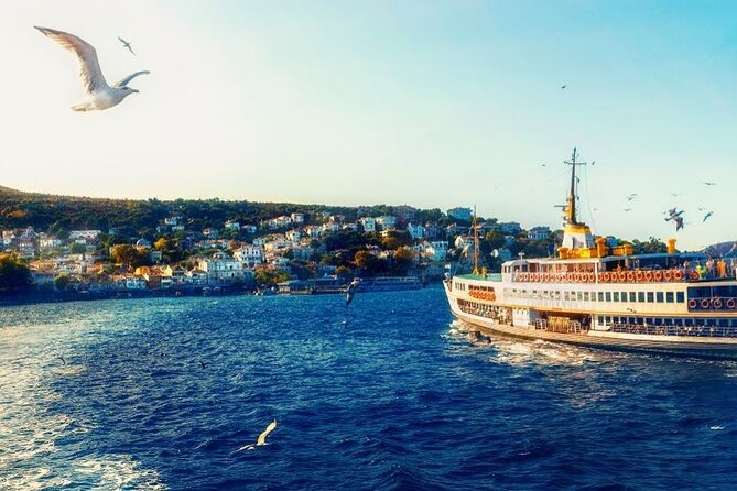 Princess Island Tour with Lunch & Ferry Ride - Arriving on Büyükada and seeing the island by carriage
