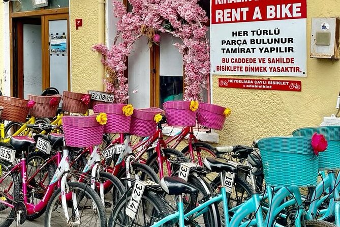 Princess Islands Daily Tour from Istanbul - Who Will Enjoy This Island Day
