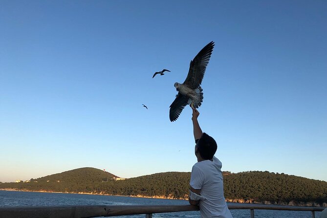 Princess Islands Tour With Lunch and Guide - Büyükada, lunch, and free time by the sea