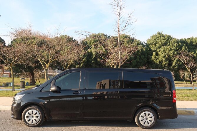 Private Airport Transfer in Istanbul - Booking details that affect your decision