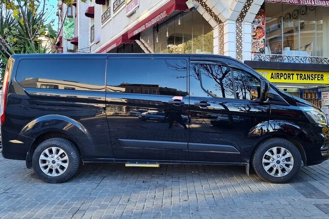 Private car Rental with Driver in Istanbul - Families, accessibility, and group size