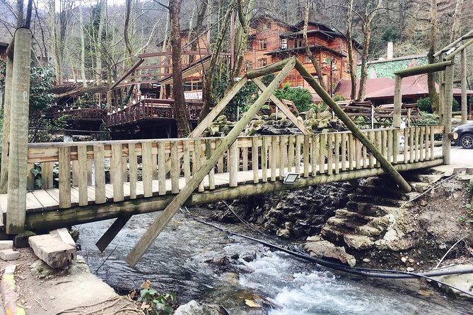 Private Day Trip From Istanbul to Lake Sapanca and Maşukiye Village - Ormanya Park and its 4,000 acres