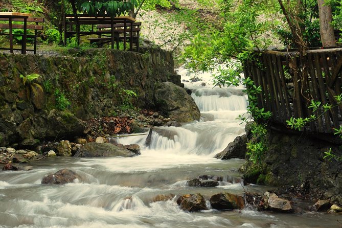 Private Day Trip From Istanbul to Lake Sapanca and Maşukiye Village - Sapanca Lake in a 50-minute visit